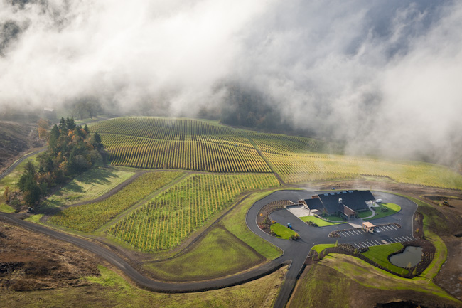 Aerial view over Colene Clemens, Willamette Valley, Oregon