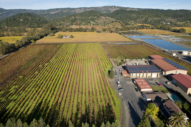 Revana winery & vineyards, Napa, California