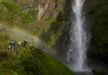 Multnomah Falls hiker & rainbow