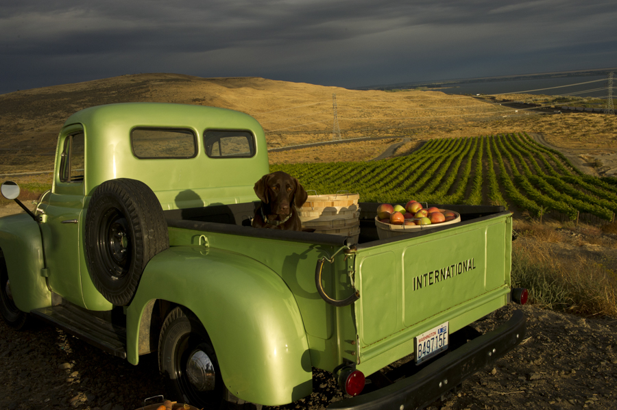 Mercer Estate old Chevy truck with their farm produce and dog
