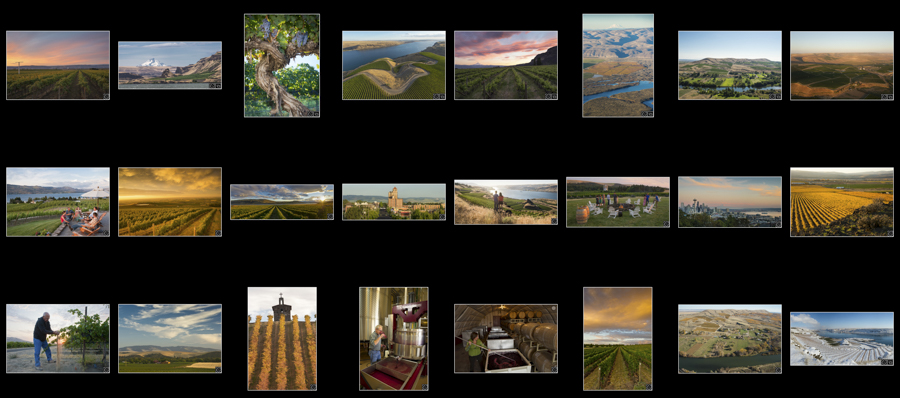 Link to view Washington Wine Commission photo libraries