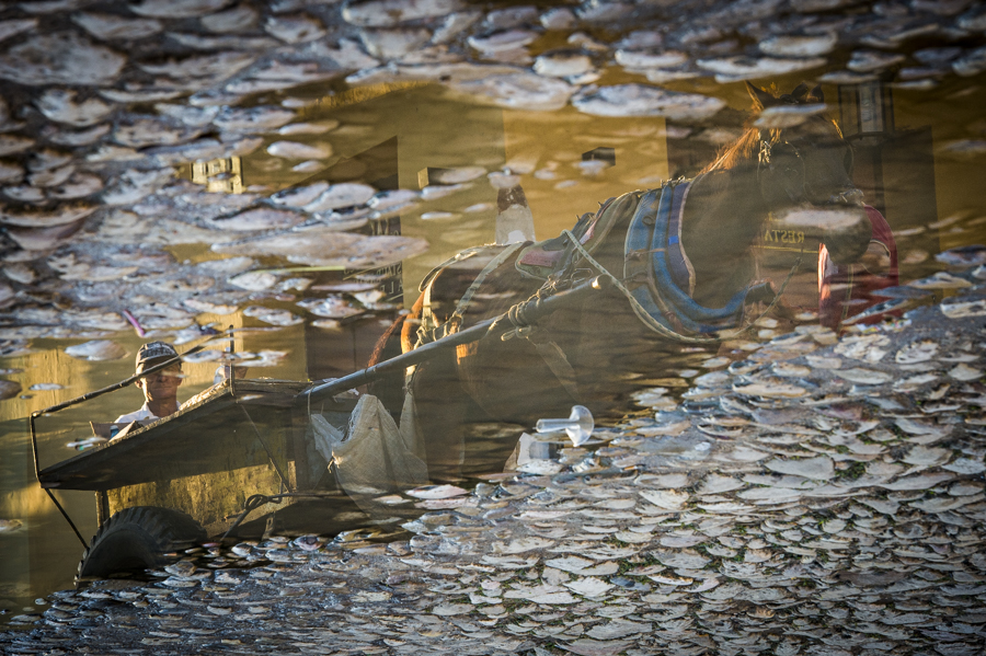 Reflections of horse & carriage in puddle of Trinidad's cobblestone streets