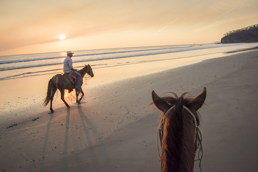 beach horseback riding