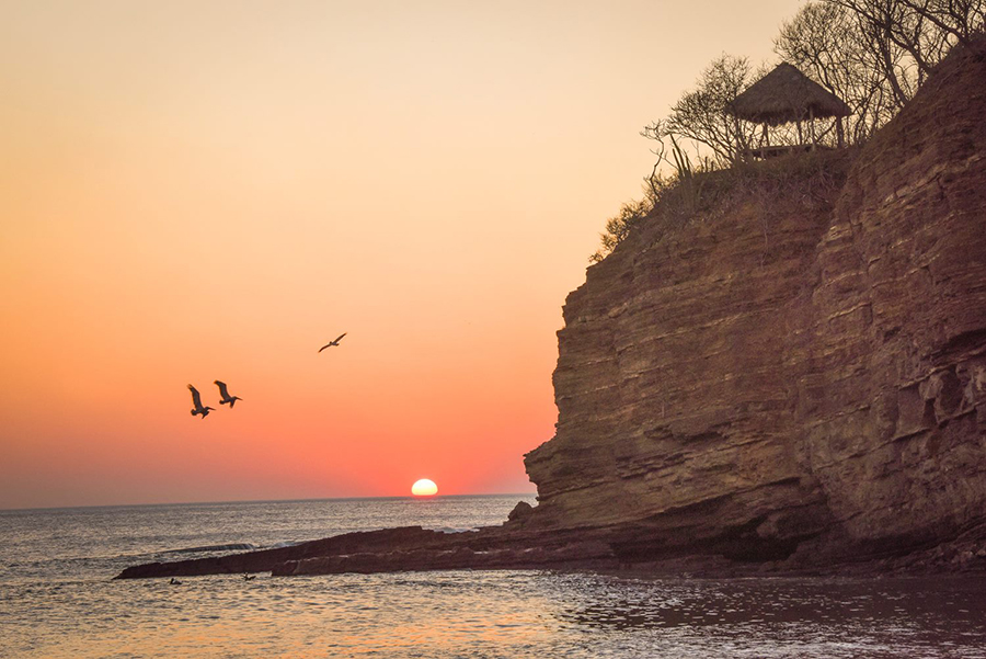 Pelicans hunt for fish as the sun sets over the pacific ocean at our private beach in Costa Dulce, Nicaragua